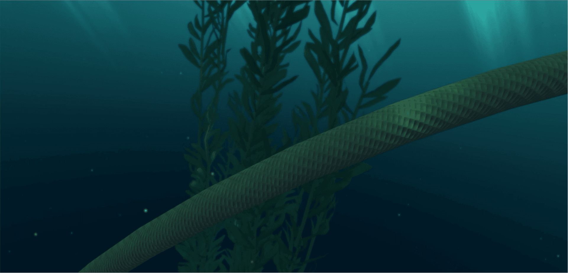 A rope and kelp under water.